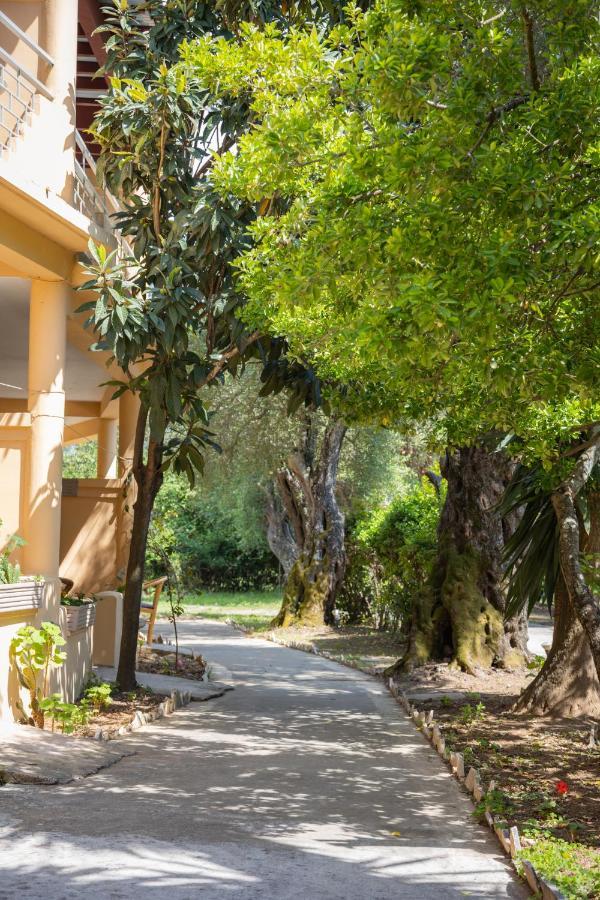 Wilde Rose Hotel Dassia  Esterno foto