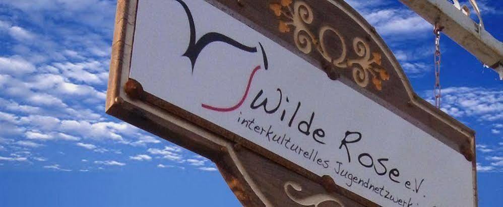 Wilde Rose Hotel Dassia  Esterno foto